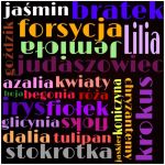 7a Jamrozik Anna